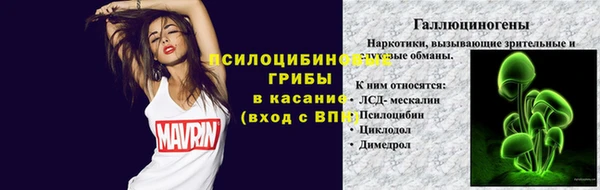 стафф Нягань