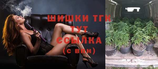 первитин Няндома