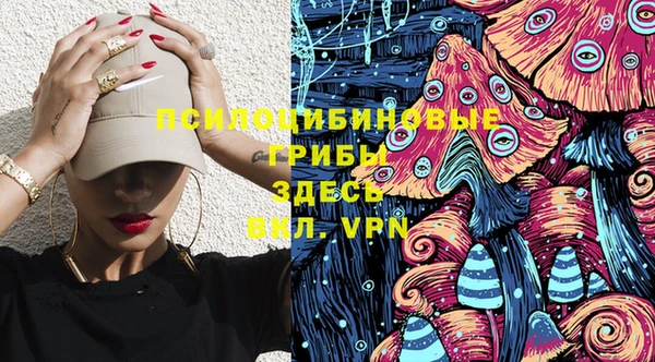 первитин Няндома